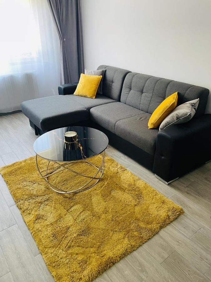 Timisoara Central Apartment New Parking !! Exterior foto