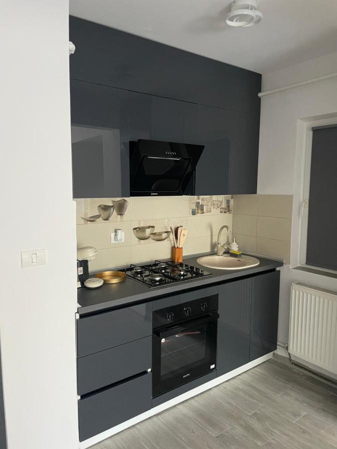 Timisoara Central Apartment New Parking !! Exterior foto